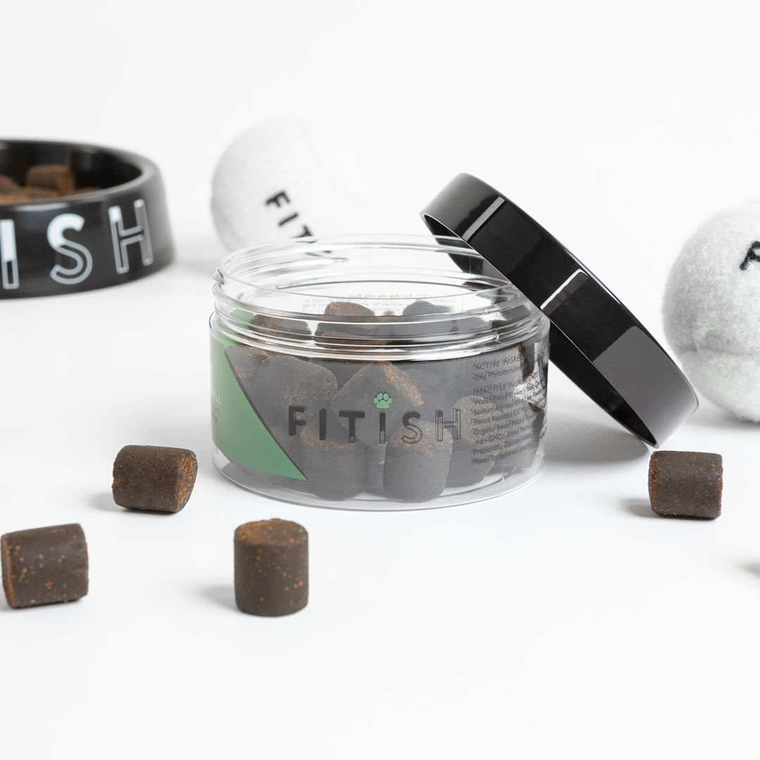 Sit. Stay. Chill Treats